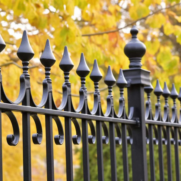 Gainesville Wrought Iron Fence